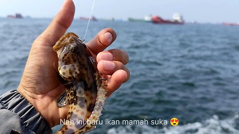 STRIKE IN A ROW AT THE RED DAM! 8 Pulls, 3 Types of Fish at Once | Tanjung Priok Sea Fishing