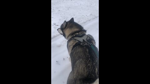 Wednesday December 10, Even faith￼ as small as a mustard seed.