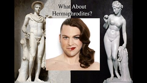 Hermaphrodite Nephilim freaks