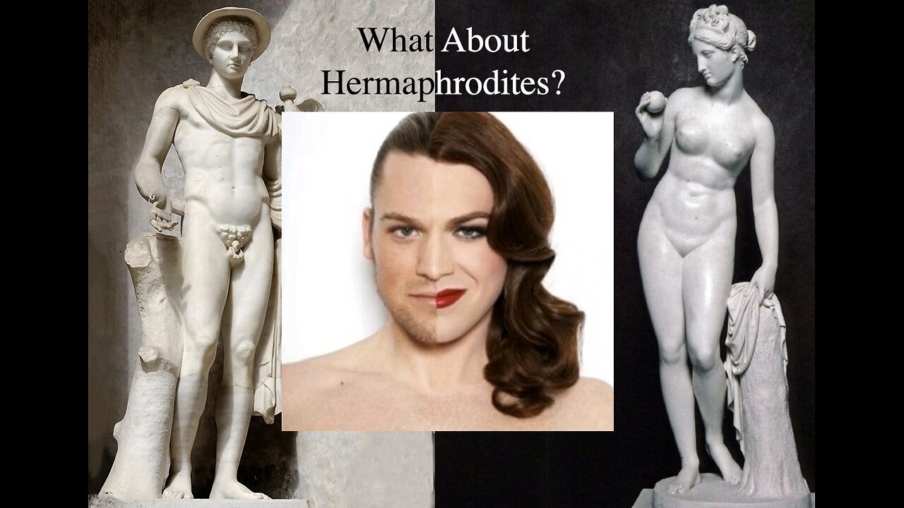 Hermaphrodite Nephilim freaks