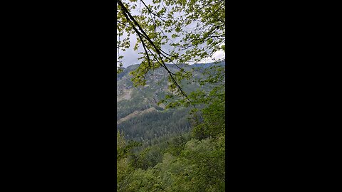 Iron Goat Trail Hike 5/10/25 Part 2/12