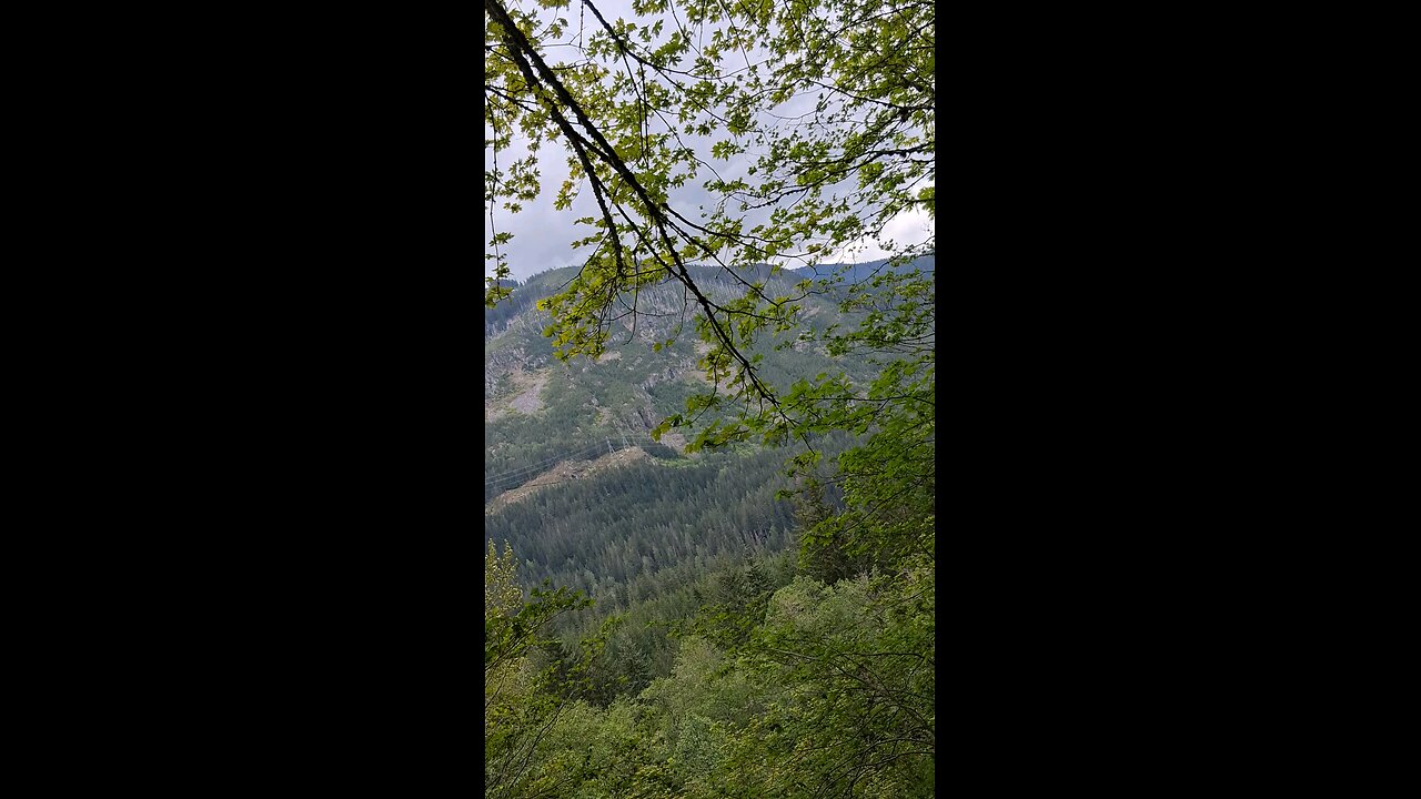 Iron Goat Trail Hike 5/10/25 Part 2/12