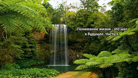 Понимание жизни-это шаг в будущее. Часть 1. Understanding life is a step into the future. Part 1.