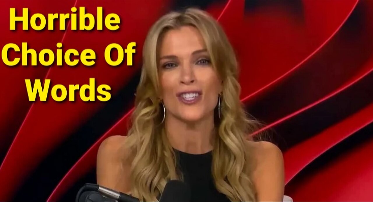Megyn Kelly’s EPIC Word Blunder in Epstein Chaos