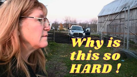 STRUGGLING To FEED Our HORSES!