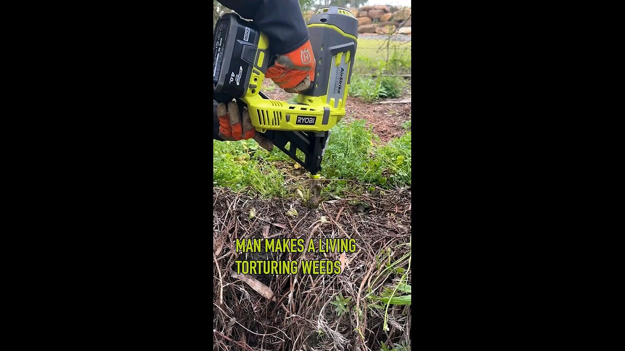 Guy makes a living from torturing weeds
