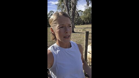 Operation Valentine’s Day (goat breeding) is underway