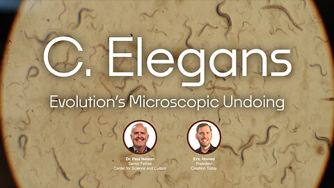 C. Elegans: Evolution’s Undoing | Eric Hovind & Dr. Paul Nelson | Creation Today Show #428