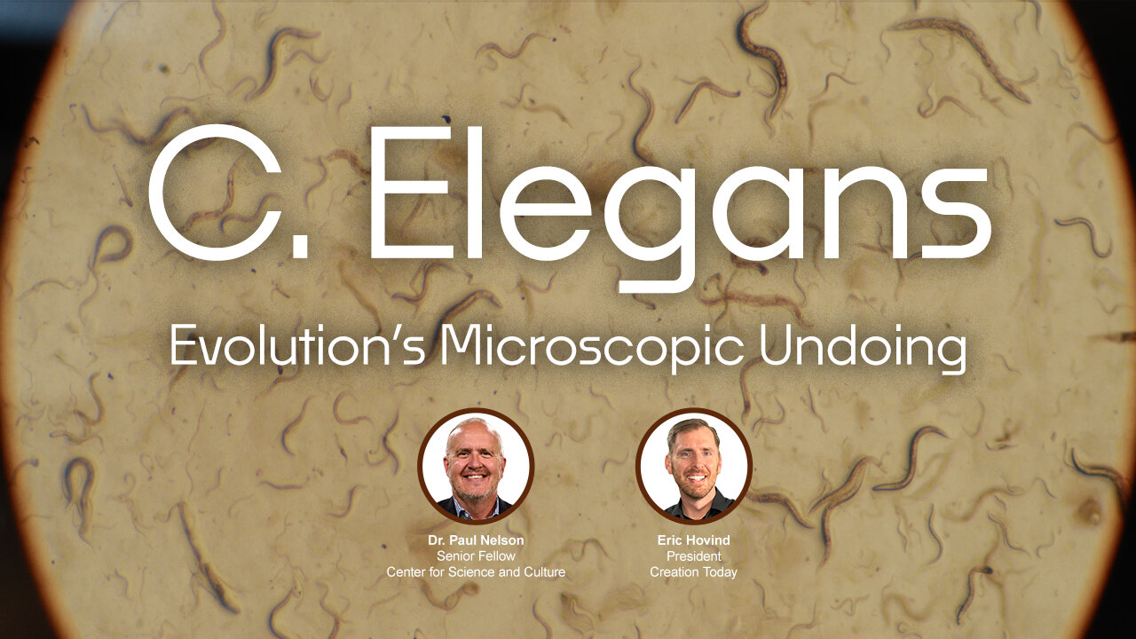 C. Elegans: Evolution’s Undoing | Eric Hovind & Dr. Paul Nelson | Creation Today Show #428