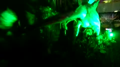 Amazing tail movement from this bad boy!!!