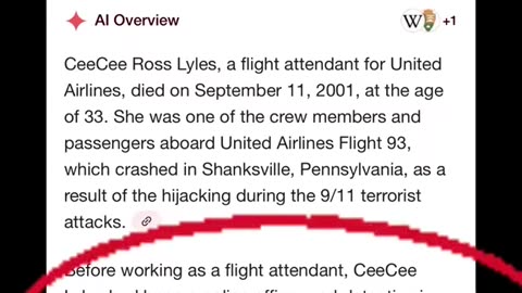 911 RARE MESSAGE RECORDING IT'S A SET UP