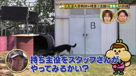 有吉のお金発見 突撃！カネオくん 人々を助け支える「働く動物」のヒミツ