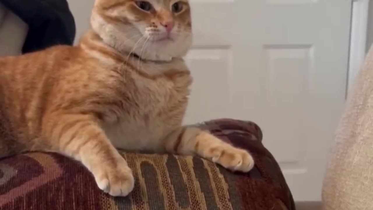 Wait for it.. 😂