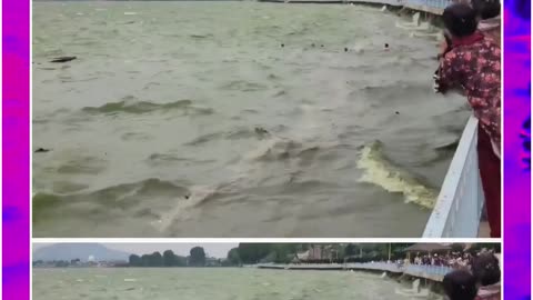 Srinagar: Tourist Boat Capsizes in Dal Lake After Strong Winds, Rescue Ops Underway