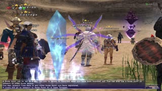 Amnesia Doll - Final Fantasy XI Ep 8