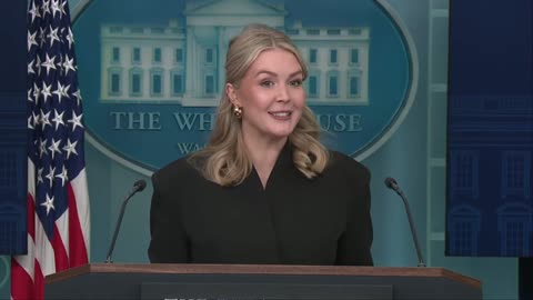 Karoline Leavitt torpedoes CNN's Kaitlin Collins in press briefing