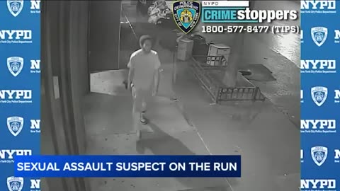 Doorman steps in to help stop sexually assault near Gracie Mansion by black suspect