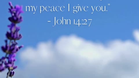God’s goodness brings peace to our souls in the midst of chaos. 🕊️