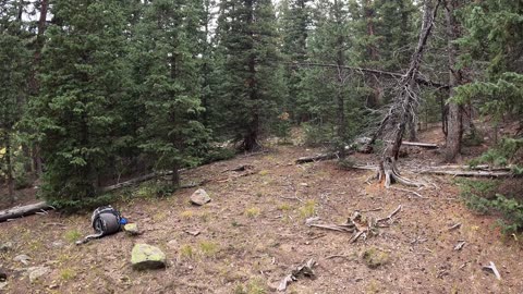 How to Get Clean Water Anywhere!