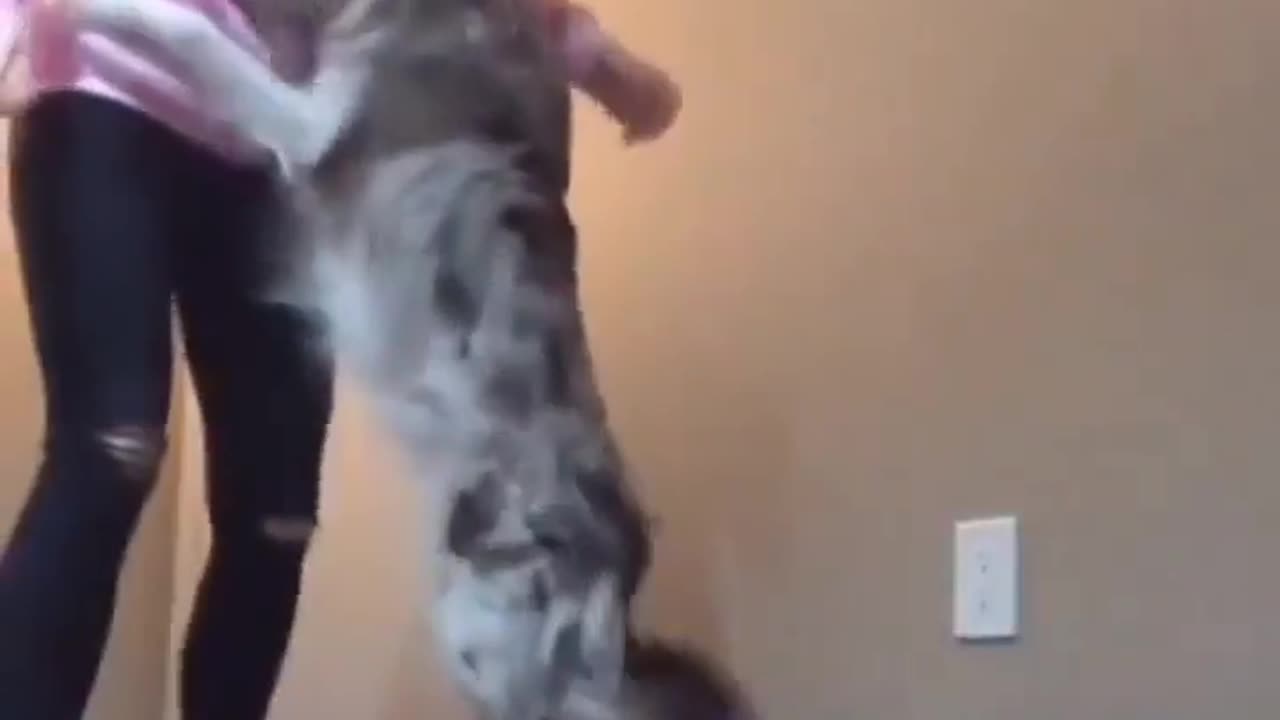 A rescued woman's silent language of gratitude as she curls up next to you.