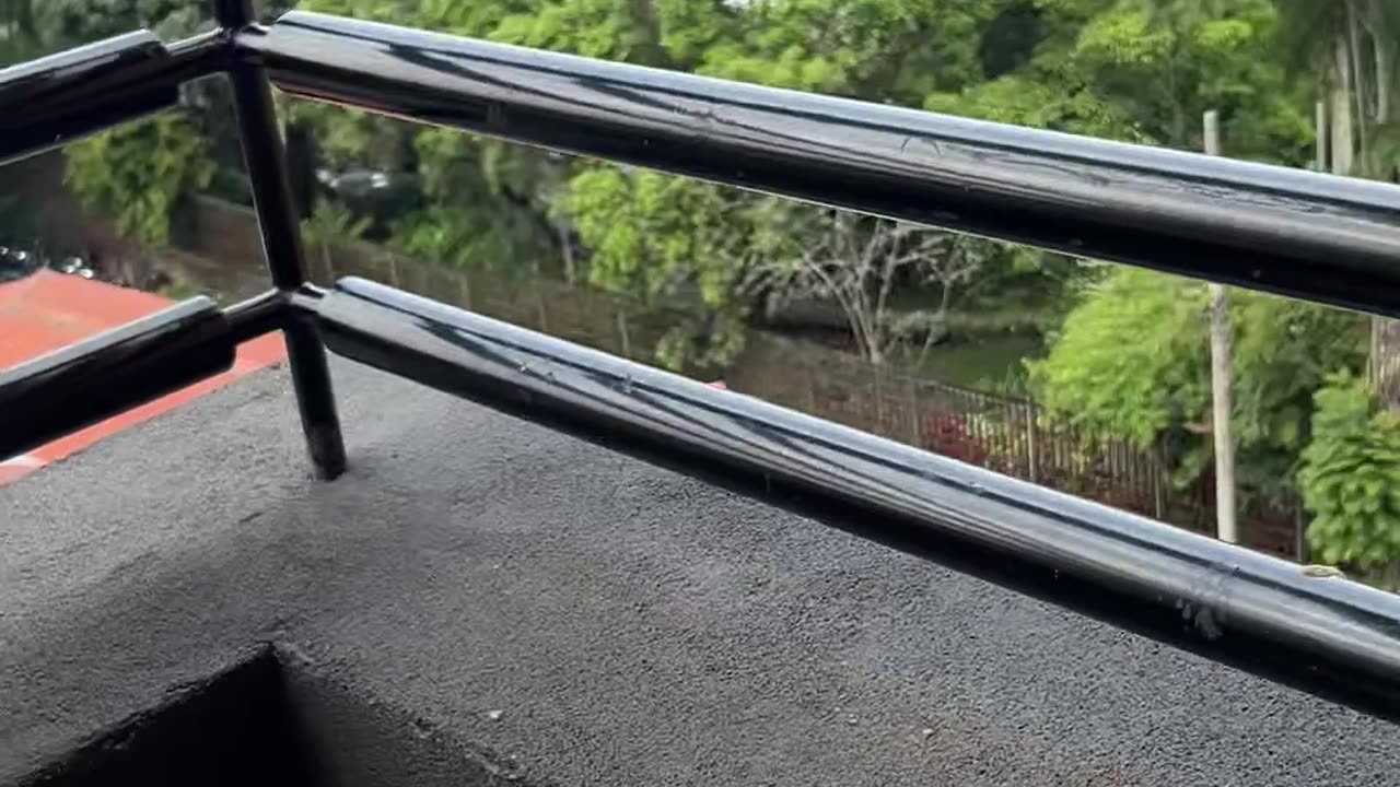 Butterfly Release Fail