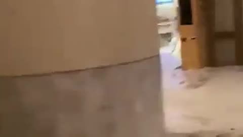 Super Typhoon Ragasa: floodwaters into lobby of Fullerton Ocean Park Hotel in Hong Kong