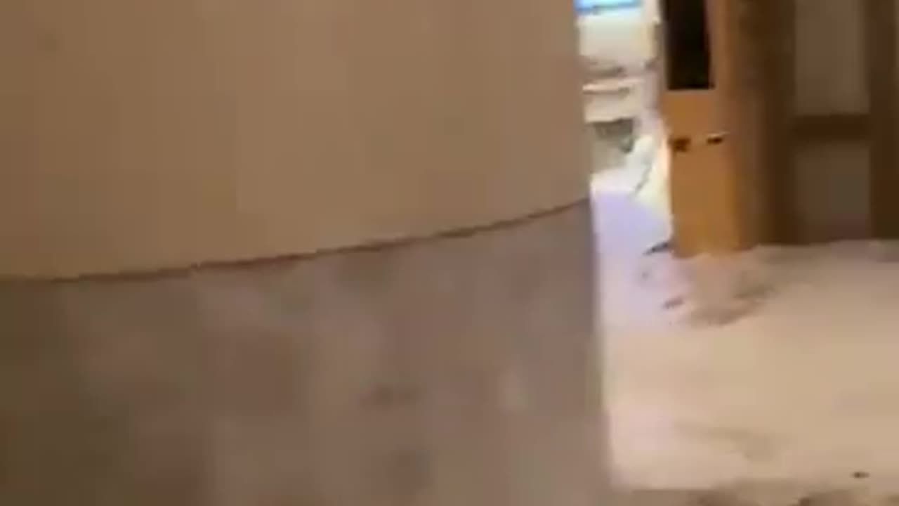 Super Typhoon Ragasa: floodwaters into lobby of Fullerton Ocean Park Hotel in Hong Kong