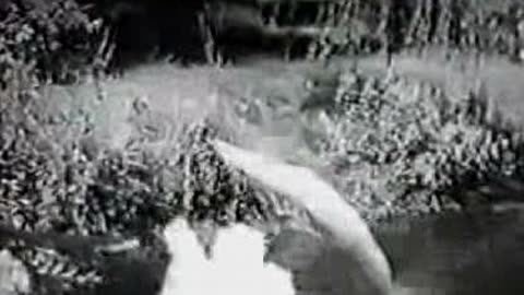 Commercial - Kix Cereal (Kids In Action 1955)