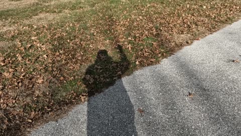 Blanketed by darkness one minute later....