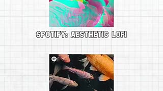 Must Watch: Music to Listen to While Studying