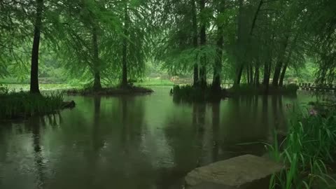 Relaxing Sound of Rain in Lake 2 Hours _ Rain Drops Falling From Trees
