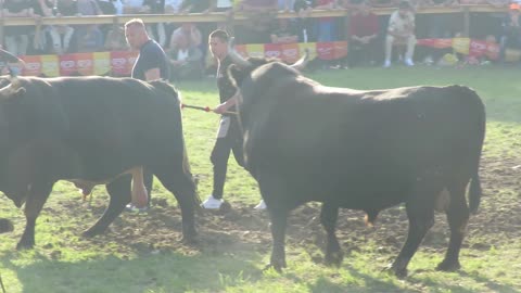 PERAN OD MUŠIJA I MUJIĆA VS MRKONJA OD BUTKOVIĆA Bijelo Polje Kakanj 2025