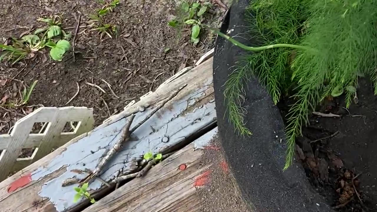 They’re Back!