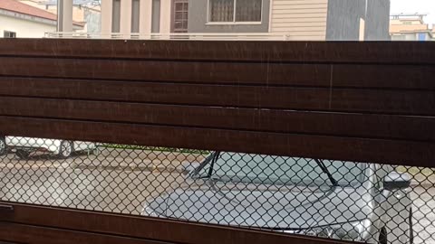 Rain