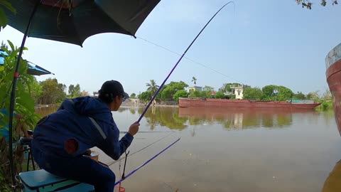 Freshwater Shrimp Netting in River Grasses