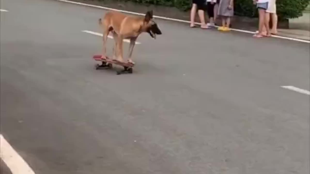 Skater boy..