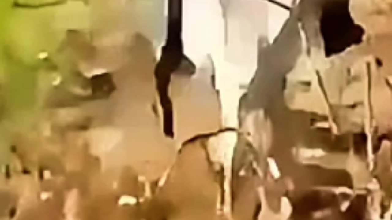 Man Abuses Donkey… Instantly Regrets It When Donkey Bites Back!