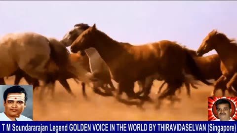Old Is Gold (evergreen) T M Soundararajan Legend Vol 231 Horse Song 4