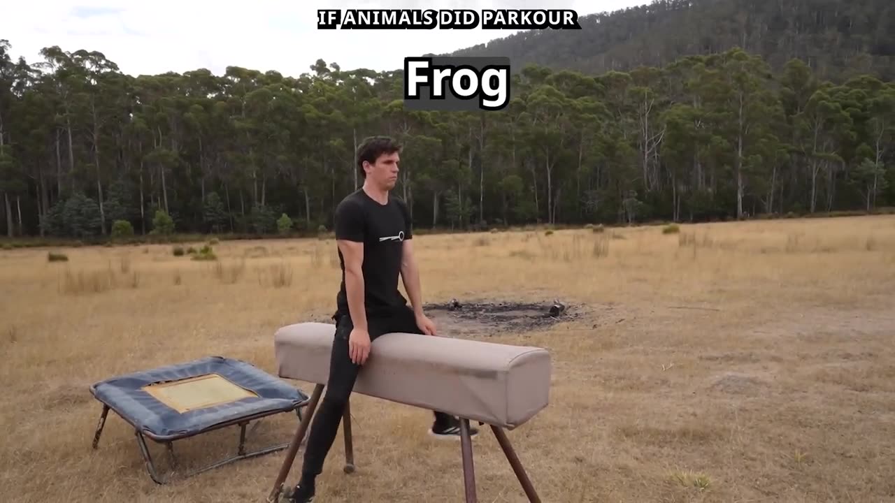 Best Funny Video Compilation