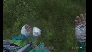 DayZ PVE