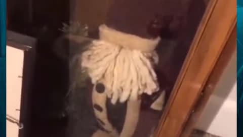 😱👻 The Scariest UFO Sighting Ever Caught on Camera! | TheHauntingHour