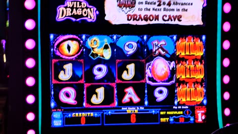 Wild dragon casino game screen