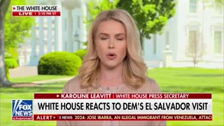 Karoline Leavitt Reveals Democrats' New Motto