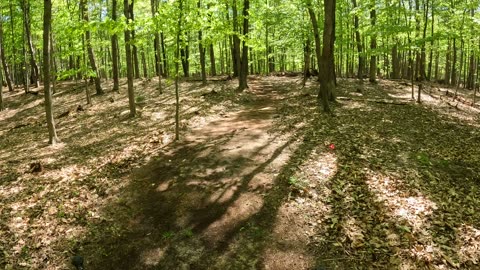 Pier Cove Paradise -- Inner Loop ... Spring of 2025