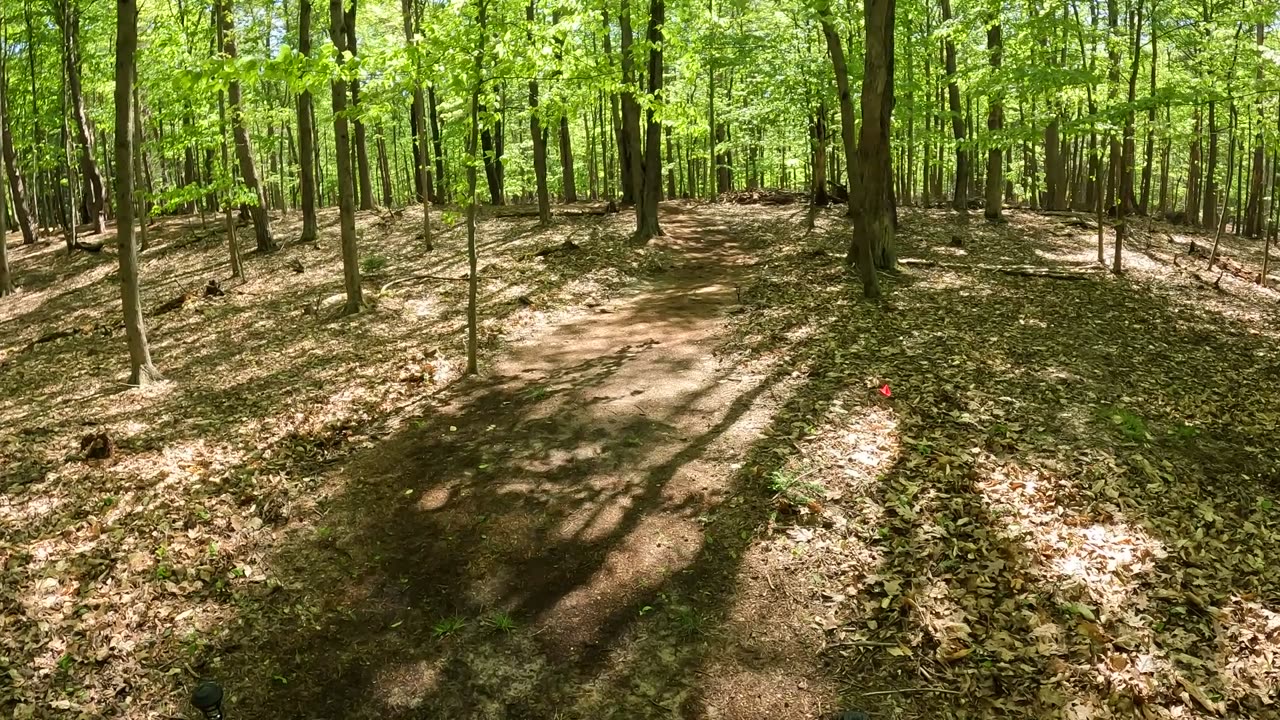Pier Cove Paradise -- Inner Loop ... Spring of 2025