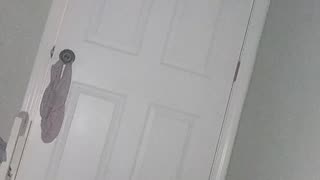 Idk
