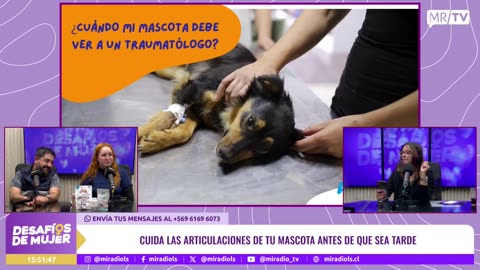 DESAFÍOS DE MUJER 15/07/2025