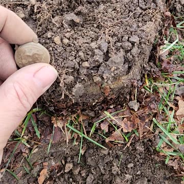 Civil war era military uniform decoration