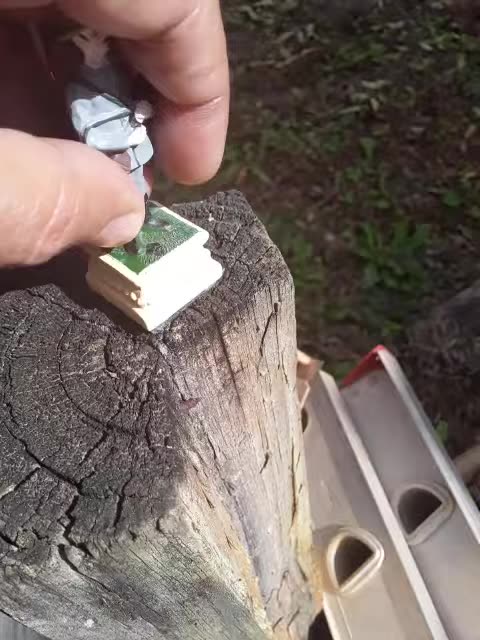 another Confederate Soldier drop