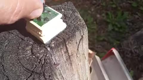 another Confederate Soldier drop